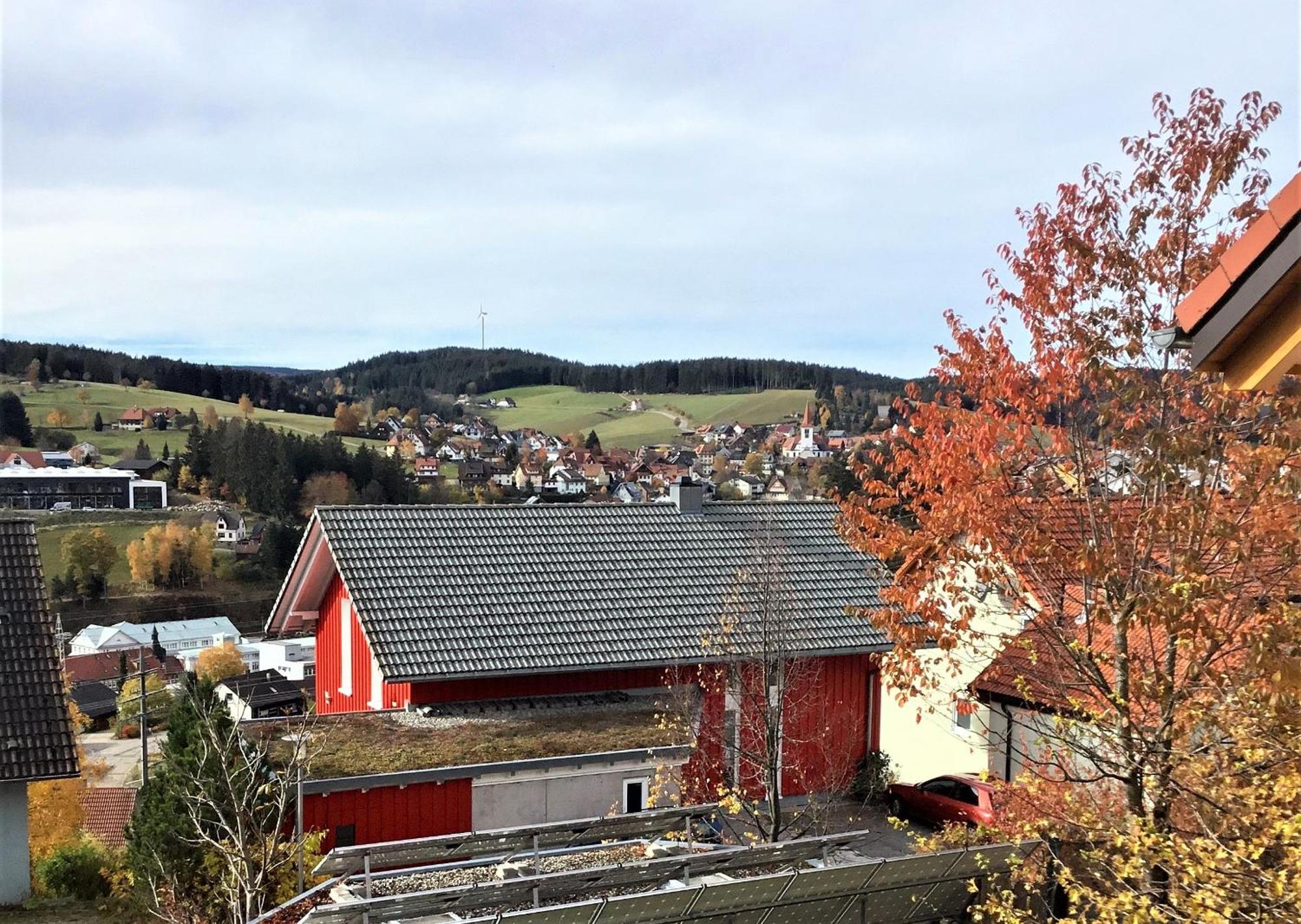 Alexander Feiss Appartement Schonach im Schwarzwald Buitenkant foto