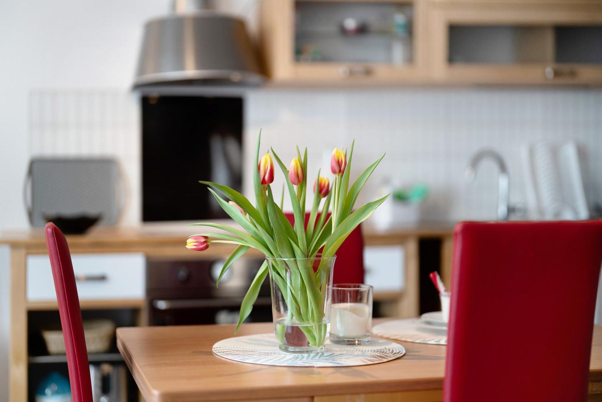 Alexander Feiss Appartement Schonach im Schwarzwald Buitenkant foto