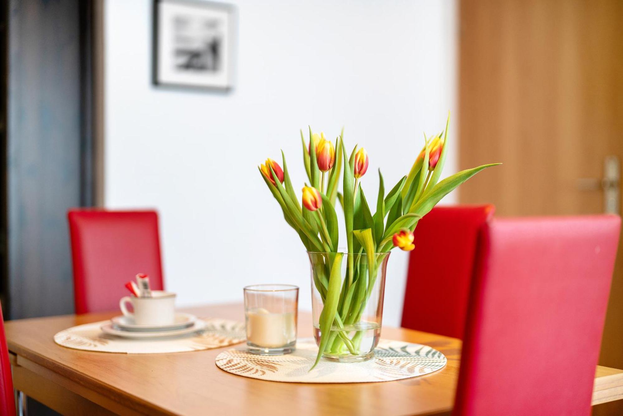 Alexander Feiss Appartement Schonach im Schwarzwald Buitenkant foto